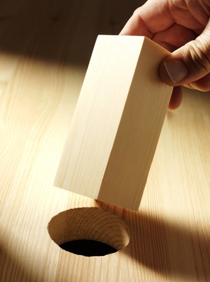 square_peg_round_hole.jpg